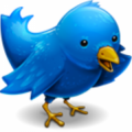 twitter-bird